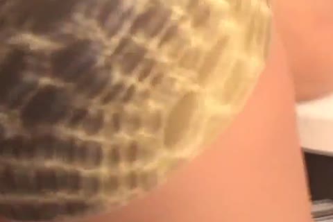 ladyboy brunette acquires Her Bush Stuffed Watch Pa