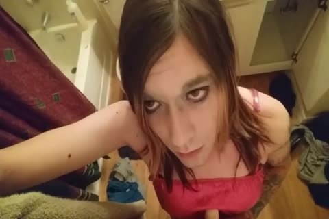 wild shemale Trap Homealone