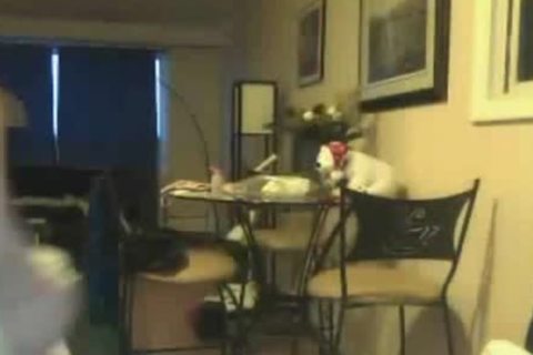 Canadian Ladyboy Plays With Her Boyfriend