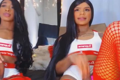 Twin ladyboy Giving Each Other A wild handjob