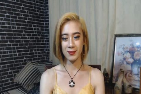 stunning oriental tranny Plays Her pleasing penis