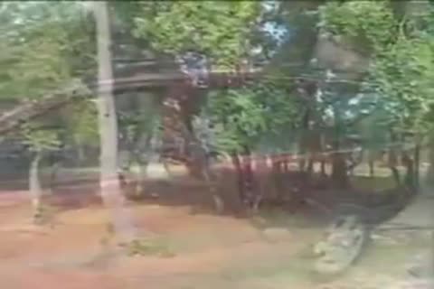 horny Ladyboys Sucks And Sexs outdoors