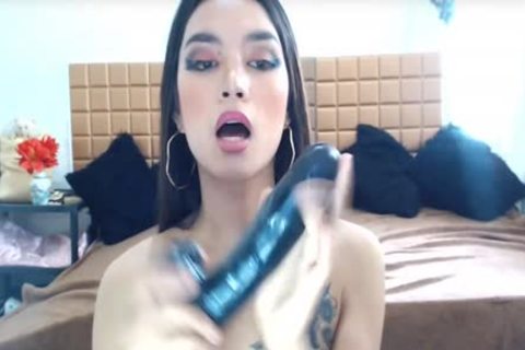 'dilettante asian sweet tranny Masturbate'