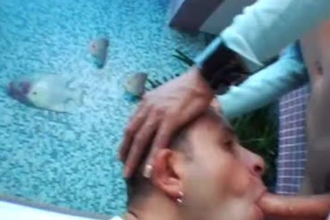 mouth plowed By tranny