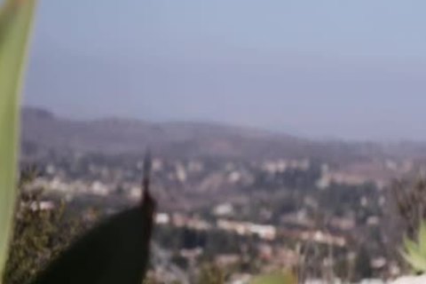 Ts Ryder Enjoys sucking males large rod