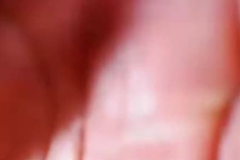 sleazy Latin trannies Live Sex Show On Cruisingcams Com