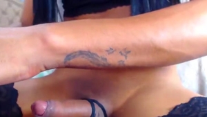 lady-man weenie Stroking On web camera